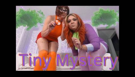 Tiny Mystery (1080)