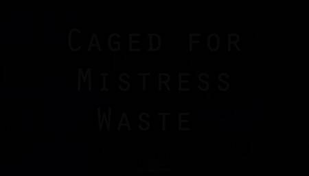 Caged for Mistress Waste