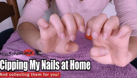 Clipping my Long Nails and Collecting Them For You - Hands Fetish - MissBohemianX - WMV
