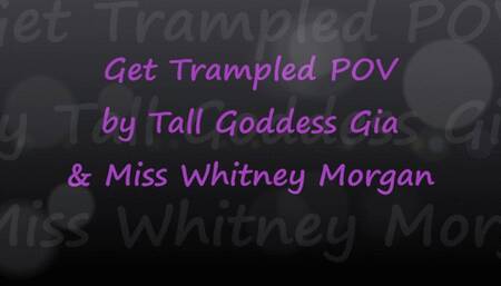 POV Trampled by Tall Goddess Gia & Whitney Morgan