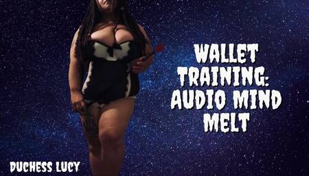 Wallet Training: Audio Mind Melt