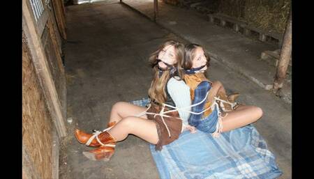 LONESTAR RANGERS: IN DANGEROUS TERRITORY