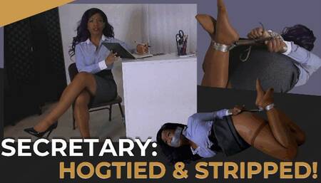 Secratary: Hogtied & Stripped