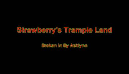 Broken In By Ashlynn