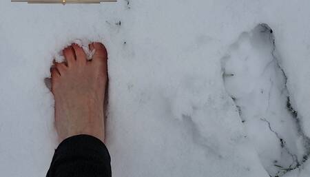 Socks and Soles get a Snow Day Outing! Watch my Bare Feet Leave Spread Toe Footprints… Brrr! WMV Version