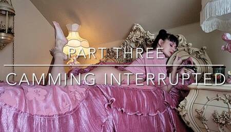 "Busted Lust" - Part 3- "Camming Interrupted"