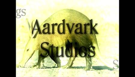 SiteSet 371  Heavy Yard Work