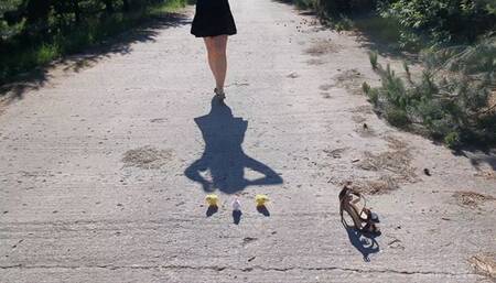 Chicken Toy Crush Outside