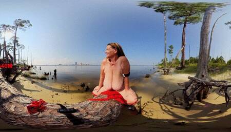 Huge Tits On Pine Tree (360 VR)