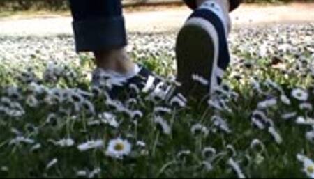 I film my girlfriend tramples little flowers