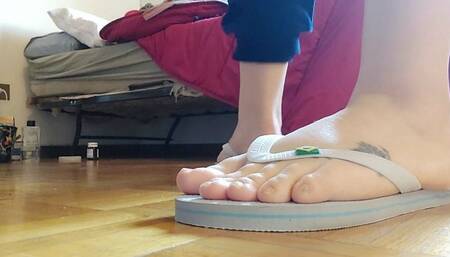 The flip flops of your giantess avi