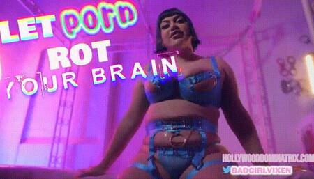 Let Porn Rot Your Brain