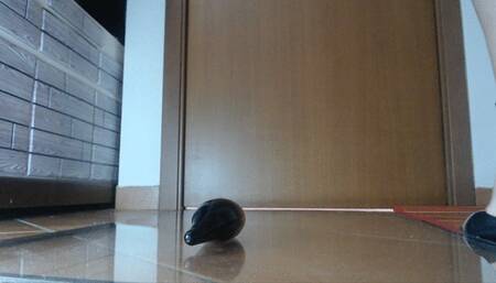 i sandali dal tacco argentato