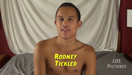 22 year old Straight busboy Rodney