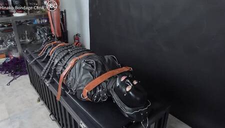 Leather Sleep Sack Face Sitting Atop the Cage