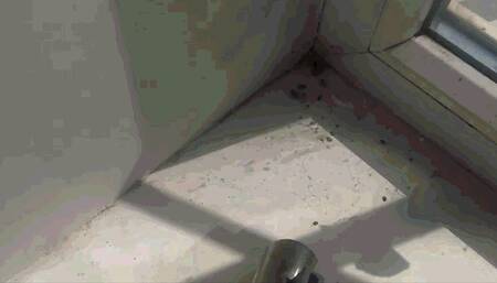 My Thomas has fought the cobwebs again