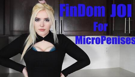 FinDom JOI For MicroPenises