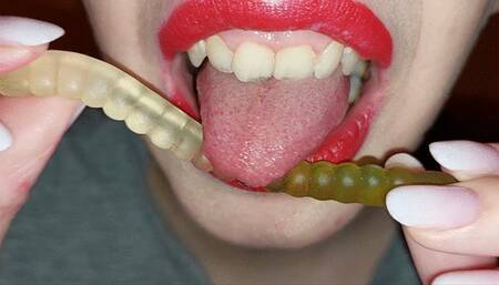 Licking coloured gummy worms