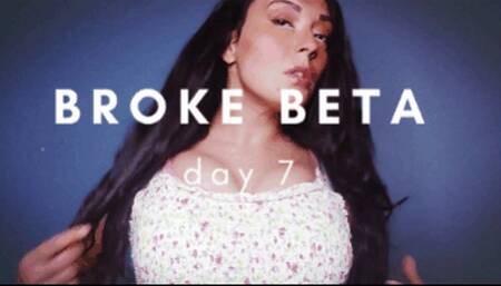 Broke Beta Bitch - Day 7