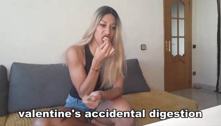 3 accidental digestions  3 vid bundle