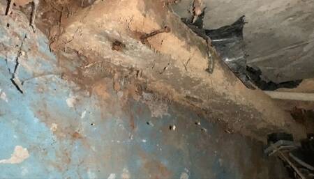 Spider and web in my centerfuge wmv