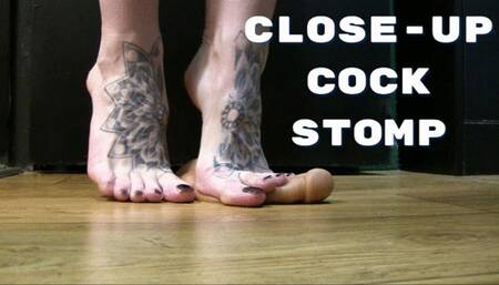 Close Up Cock Stomping wmv