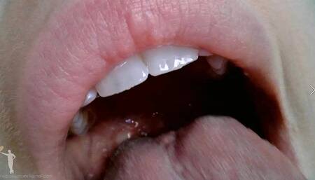 Mouth Cam - Zaurus - 3RD
