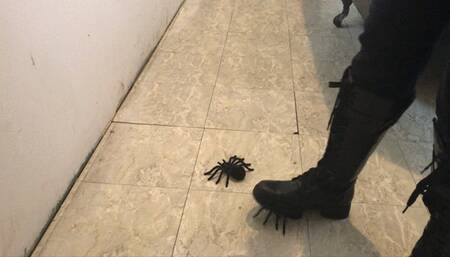 stomping on black toy spiders in combat boots