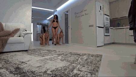 my blonde pony girls PP