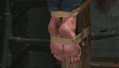 Bondage predicament for Xena - Tied to a pole (HD 720p MP4)