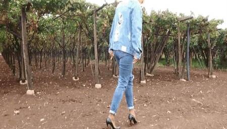 Vineyard walk AVI(1280x720)FHD