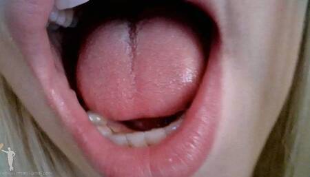 Mouth Cam - Zaurus - 2ND