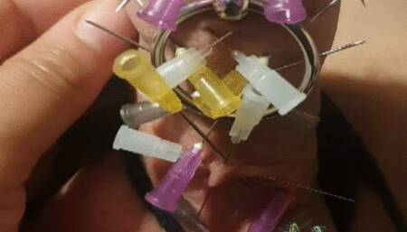 CBT NeedlePlayfulPleasures!