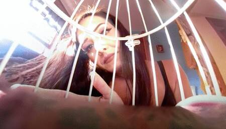 VR360 "Found and Caged By Lauren Ashlyn"