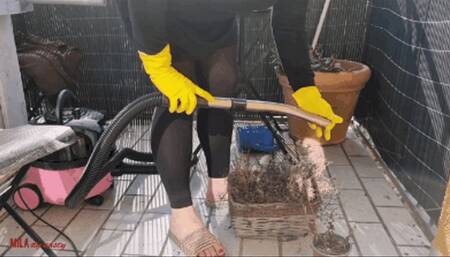 Mila - withered plant