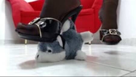 crushing a toydog Husky puppy in Nylons, sexy Mules Heels and Berkemann Sandals