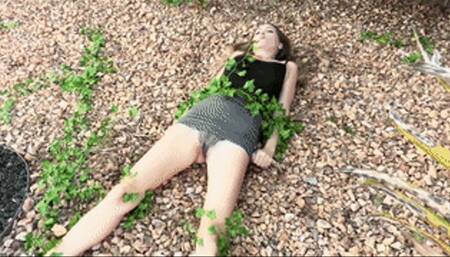 Vine Encounter - Star Nine