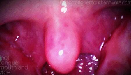 An Accidental Swallow: Exploring Your Snoring Girlfriend's Giant Mouth