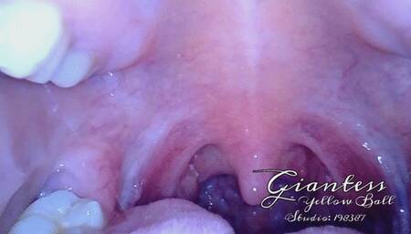 Endoscopic mouth tour