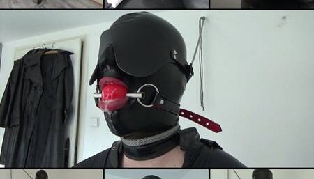 Like tied up Catwoman with a new ball gag