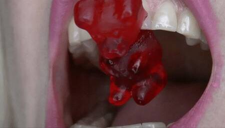 No chance for the bears MP4 HD 720p