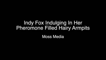Indy Fox Indulging In Her Pheromone Filled Hairy Armpits