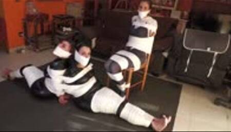 We caught a spider in our trap!