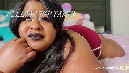 PILLOW TOP FARTS