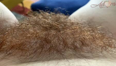 Bush Worship Pussy Licking (wmv)