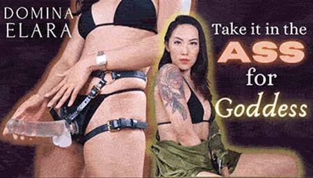 Take it in the Ass for Asian Goddess