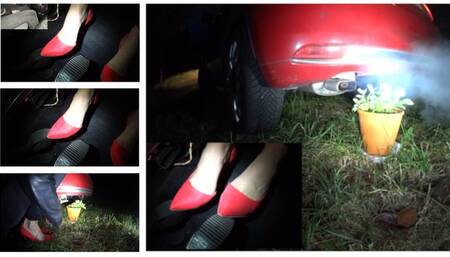 Ms Curious revs exhaust fumes on her plants (with subtitles)