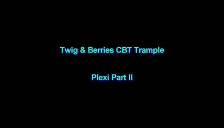 Plexi Part II