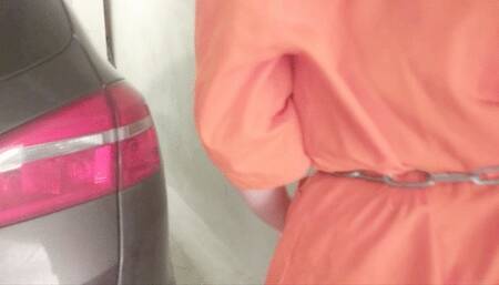 Inmate Syria transfer by car