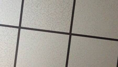 DISCIPLINING THE STEPSON (AGAIN)